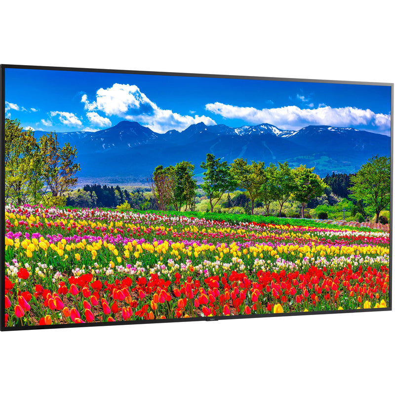 Sharp M751-AVT3 75" Class UHD 4K HDR Commercial Monitor with ATSC/NTSC Tuner