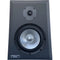 Ocean Way Audio Pro2A 8" Active Two-Way Reference Monitor (Single)