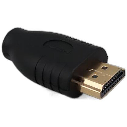 DigitalFoto Solution Limited Micro-HDMI Female to HDMI Male Adapter