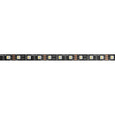 ENTTEC 8PXW60 RGBW LED Strip (Black, 16.4')