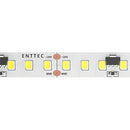 ENTTEC 9CH LED Strip (Cool White, 32.8')