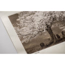 Awagami Factory Kozo Thin Fine-Art Inkjet Paper (A3+, Natural, 10 Sheets)