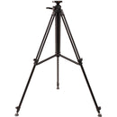 E-Image GA230-PTZ Aluminum Tripod with Rising Center Column Kit with Dolly