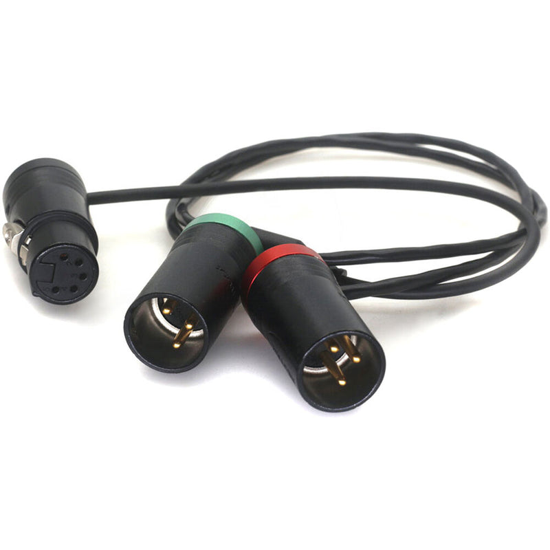 DigitalFoto Solution Limited AR74 5-Pin XLR-F to Dual 3-Pin XLR-M Y-Cable (1.6')