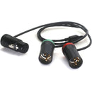 DigitalFoto Solution Limited AR74 5-Pin XLR-F to Dual 3-Pin XLR-M Y-Cable (1.6')