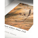 Hahnemuhle Photo Paper Sample Pack (12 Sheets, 13 x 19")