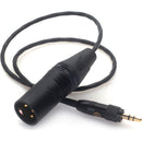 DigitalFoto Solution Limited AR88 Locking 3.5mm to XLR-M Audio Cable (1.6')