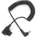 DigitalFoto Solution Limited Coiled D-Tap to DC5010 Power Cable for Sony FS7 (13.7 to 23.6")