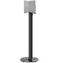 FLEXSON Floor Stand for Sonos Era 300 Speaker (Black, Single)