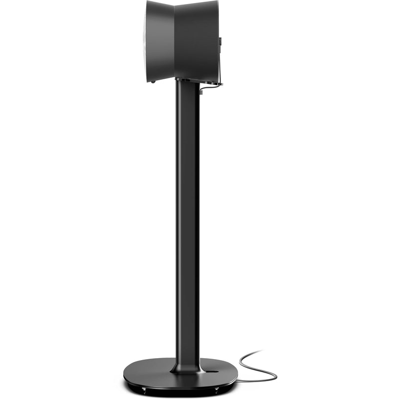 FLEXSON Floor Stand for Sonos Era 300 Speaker (Black, Single)