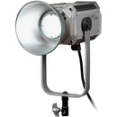 FotodioX Pro Warrior 300XR Bi-Color LED Monolight