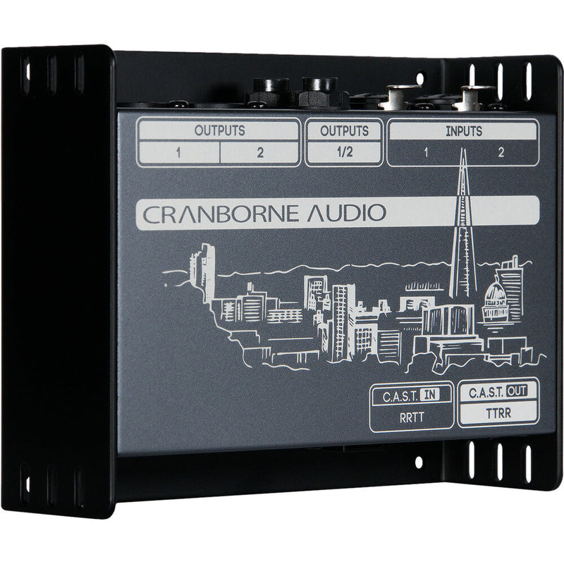 Cranborne Audio N22 Cat 5 Snake and C.A.S.T. Breakout Box