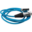 Kondor Blue Mini-XLR Male to XLR Female Audio Cable for Canon C70 & BMPCC 6K/4K (Blue, 3')