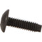 Kendall Howard 10-32 Rack Screws (100-Pack)