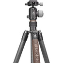 Leofoto LX-254CT Urban Series Carbon Fiber Tripod with XB-32 Ball Head