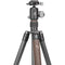 Leofoto LX-284CT Urban Series Carbon Fiber Tripod with XB-38 Ball Head (66.42")