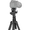 SmallRig CT195 FreeBlazer Aluminum Video Tripod