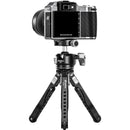 Leofoto Spider MT-04 Aluminum Mini Tripod with LH-30 Ball Head