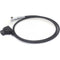 DigitalFoto Solution Limited D-Tap to 4-Pin Power Cable for Zacuto Kameleon EVF (2')