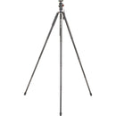 Fotopro iSpeedy Aluminum Quick-Extend Tripod (Black)