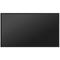 Hisense DM66D Series 32" Full HD Commercial Monitor