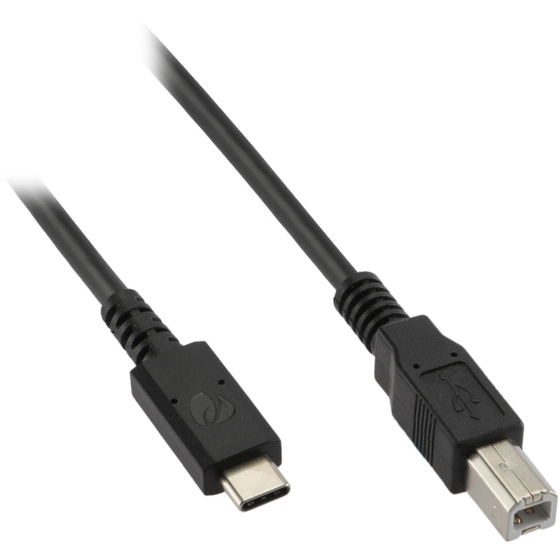 Pearstone USB-C Male to USB-B Male USB 2.0 Cable (3.3')