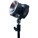 DigitalFoto Solution Limited DF-100Bi Bi-Color LED Monolight