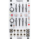 intellijel Tangrams Dual ADSR/VCA with Cycling Gate Pulsers Eurorack Module (14 HP)