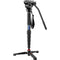 Leofoto MP-326C Monopod with BV-10 Video Head & VD-02 Monopod Base