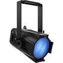 CHAUVET PROFESSIONAL Ovation R&ecirc;ve P-3 IP LED Fixture