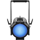 CHAUVET PROFESSIONAL Ovation R&ecirc;ve P-3 IP LED Fixture