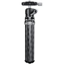 Leofoto MT-02C Mini Tabletop Travel Tripod with LH-22 Mini Ball Head (Black)