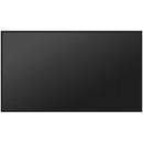 Hisense GM50D Series 43" UHD 4K Commercial Monitor