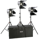 Hedler Profilux Daylight 1400 LED Fresnel (3-Light Kit)