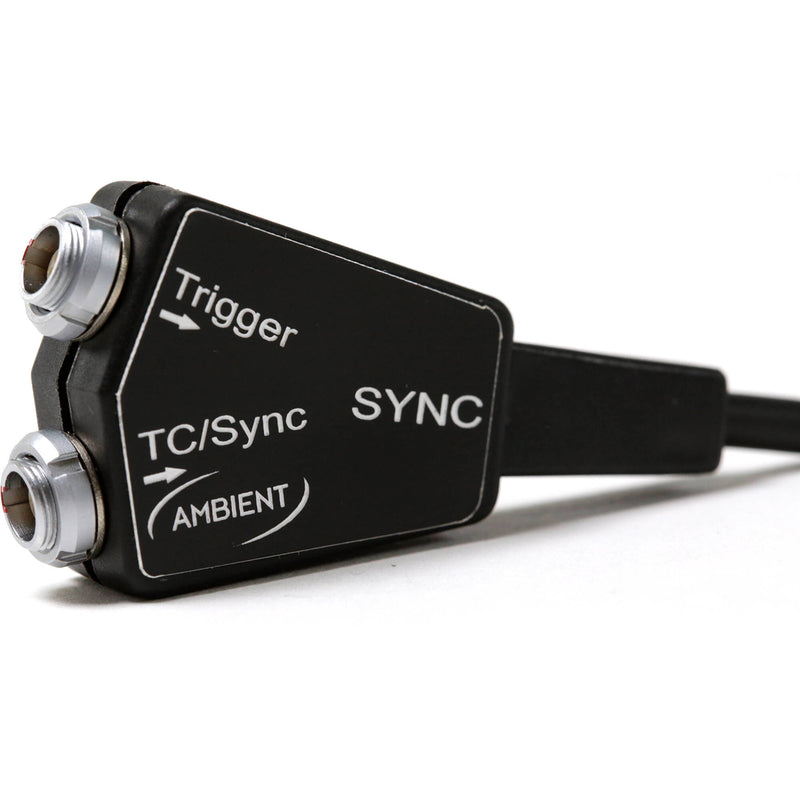 Ambient Recording TC-SYNC TRIGGER RED Timecode/Sync + Trigger Input Cable for RED with 4-Pin Sync Port