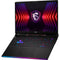 MSI 17" Raider GE78 HX Gaming Laptop (Black)