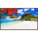 Panasonic SQ2HW Series 50" UHD 4K Commercial Monitor