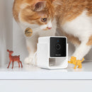 Petcube Cam Wi-Fi Pet Monitoring Indoor Security Camera