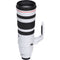 Canon EF 200-400mm f/4L IS USM Extender 1.4x Lens (Canon EF)