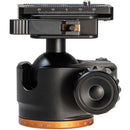 Revic BH1L Ball Head with Lever Clamp