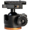 Revic BH1L Ball Head with Lever Clamp