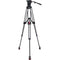 OZEN 15EZ 100mm Carbon Fiber Tripod & Agile 15 Fluid Head System (EZ-Load)