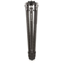 Benro Mammoth 3-Section Carbon Fiber Tripod