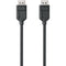 ALOGIC Elements 4K DisplayPort Cable (3.3')