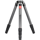 Sunwayfoto T3640CM Master Series Carbon Fiber Tripod and XB-52&nbsp;Low-Profile Ball Head