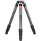 Sunwayfoto T3640CM Master Series Carbon Fiber Tripod and XB-52&nbsp;Low-Profile Ball Head