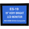 Mirror Image ES-19 SDI Teleprompter Monitor (19")