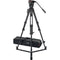 Sachtler 75/2 Mark II Aluminum Tripod System with FSB 6 MK II Fluid Head & Ground Spreader