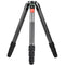 Sunwayfoto T4040CM+IB-40S Master Series Carbon Fiber Tripod and IB-40S Ball Head Ball Head