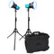 Dracast X Series M80D Daylight LED Monolight (V-Mount, 2-Light Kit with Hard Case)